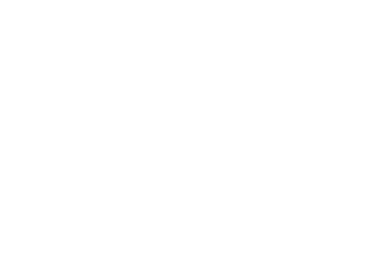 An Orbweaver Connect Partner